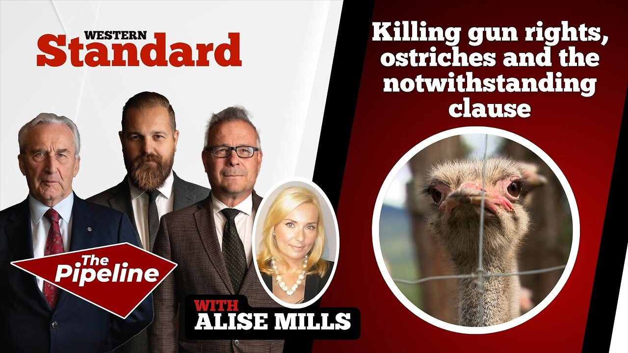Killing gun rights, ostriches and the notwithstanding clause