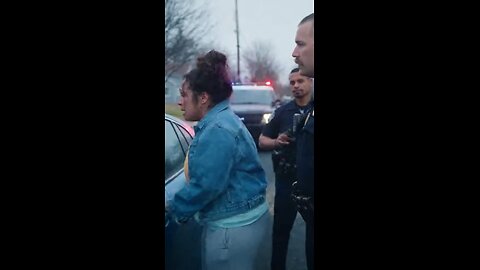 Woman goes ballistic on cops during a routine stop