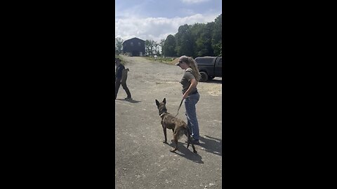 Freya and her new family training