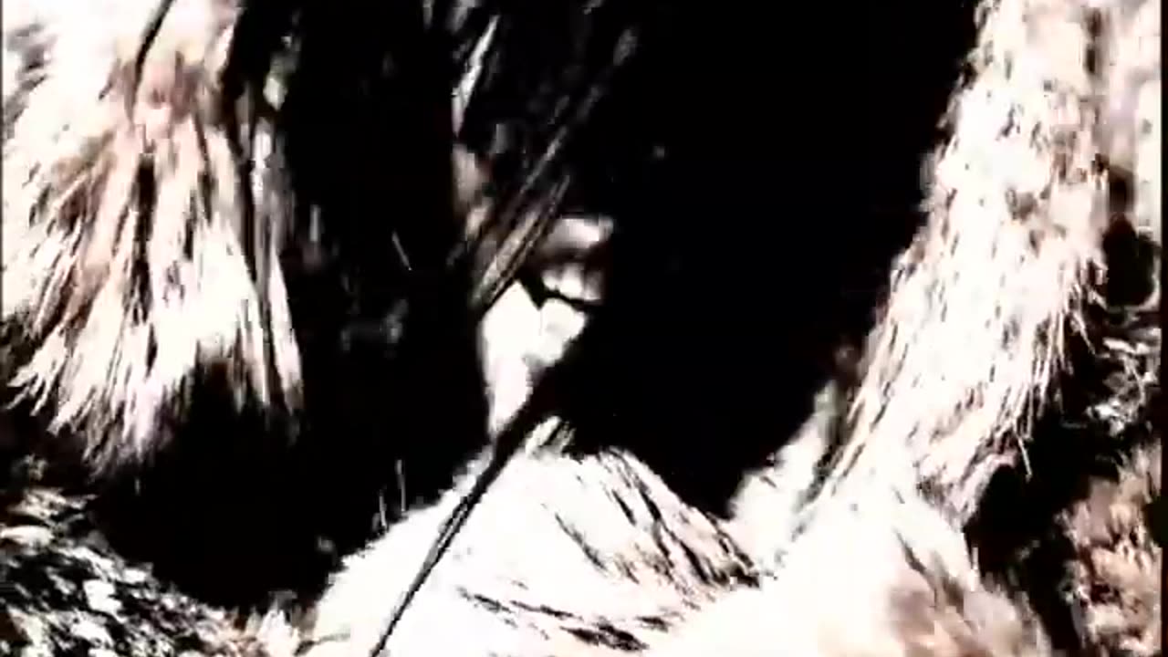 Lois Lane - When Im With You