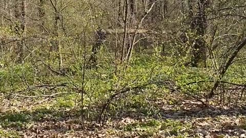 Daily Horoscope | Taurus 🌟