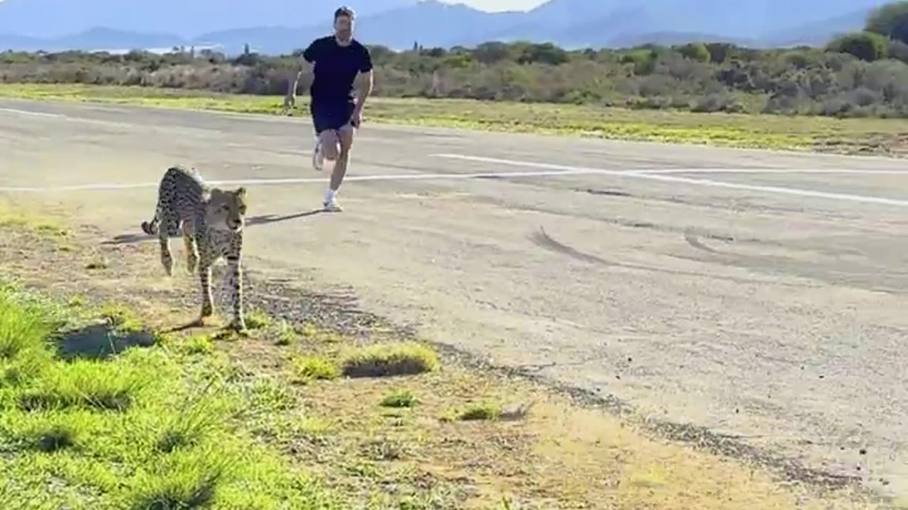 I Raced A Cheetah