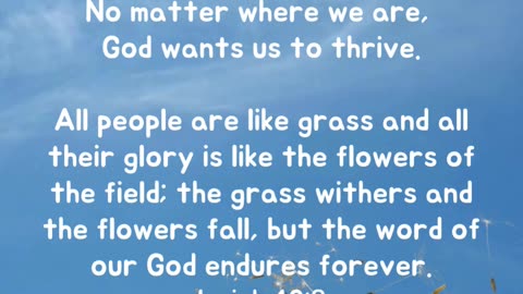 God wants us to live like grass