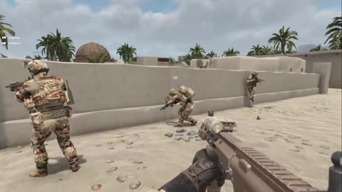 combat operation in Egypt Commandos