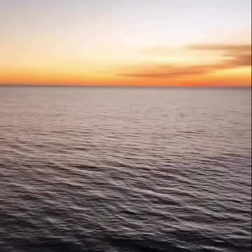 "When you see a dog on the street and instantly become its best friend."