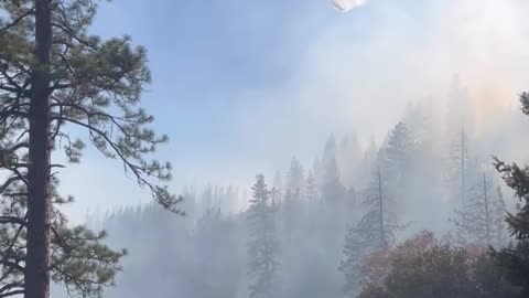 Tiger Fire near Buckhorn in Amador County has burned 84 acres s #FIRE #WILDFIRE #CALIFORNIA