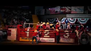 Whitney Webb Gives an Urgent Warning to the World (Part 2)