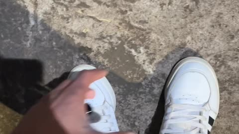 Helping Remove a Can From a Stray Cat