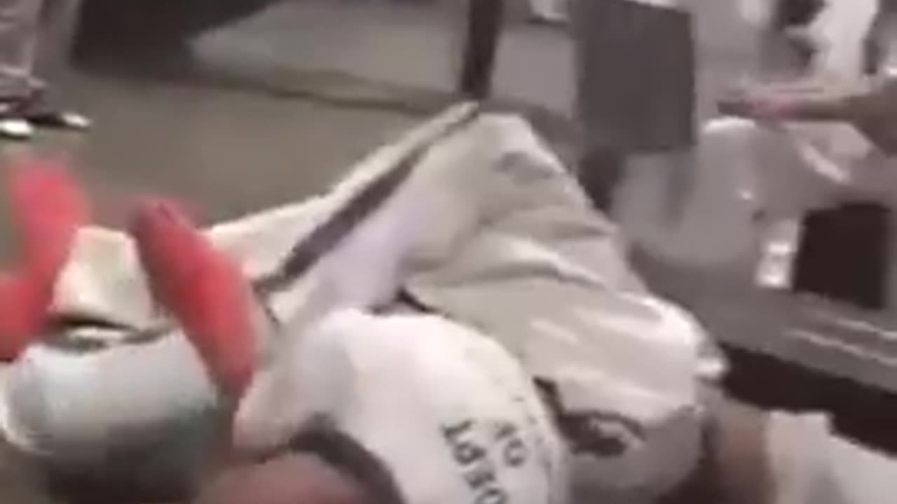 FUCD UP