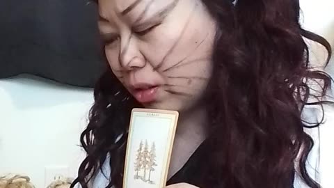 3 mins kitty 😸