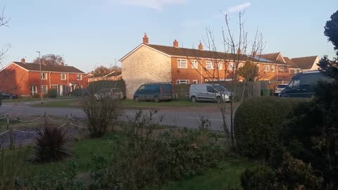 They Ware Claws To Claw Their Victims Royal Human Hunting Parties