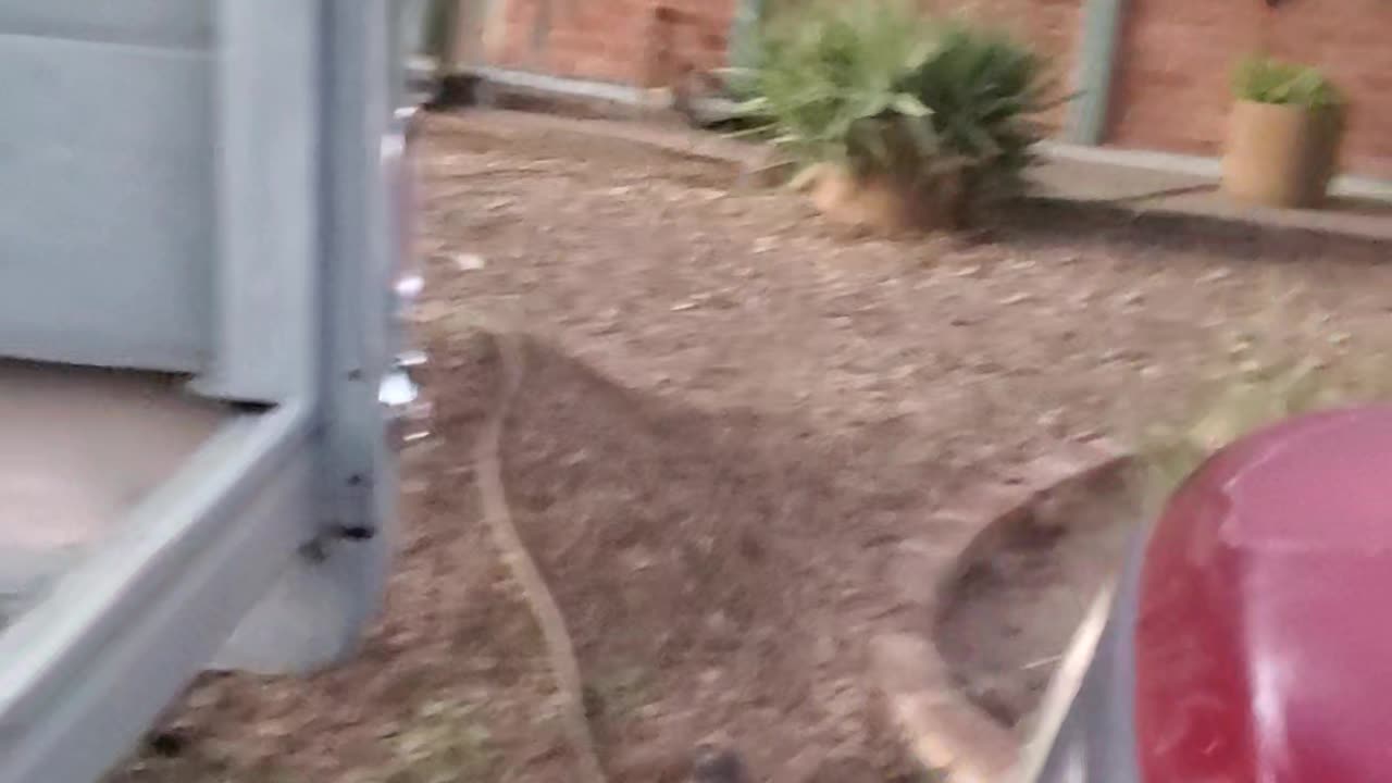 103125 Ready for Trick-or-treaters!!!!!!!!!!!!!!