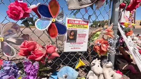 Former FBI agent weighs in on Emily Pike case