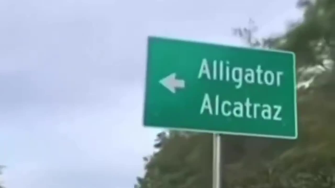 Protests at Alligator Alcatraz