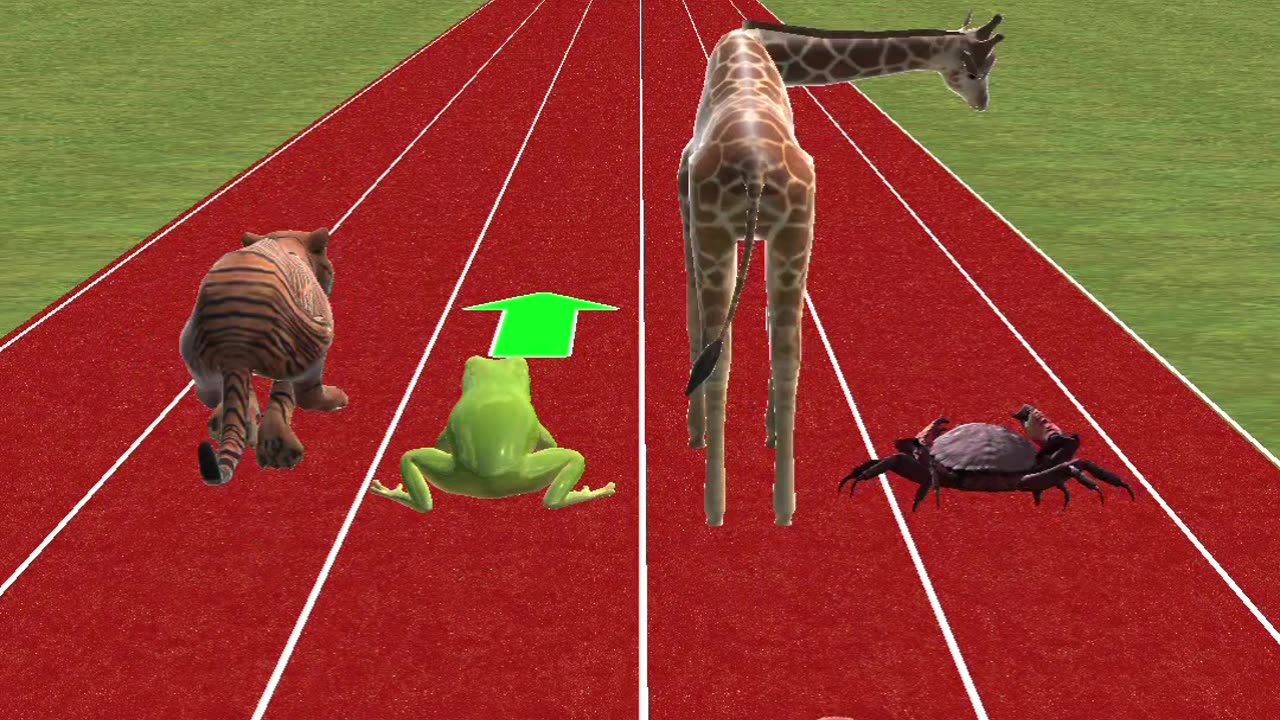 Funny Animal Olympics #olympics #animalolympics #funnyanimal #aninalrace #racegame