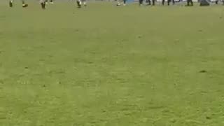 Police arrest referee on the field, players are surprised