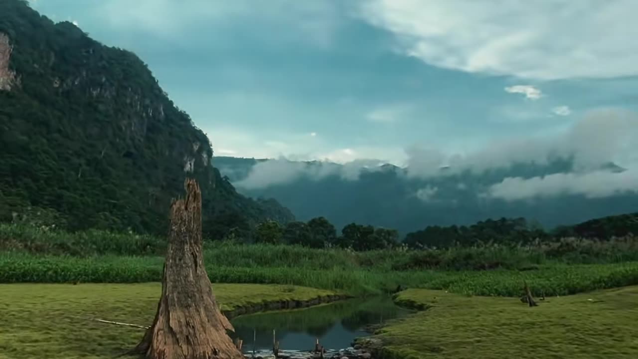 This Is What Pure Serenity Looks and Sounds Like