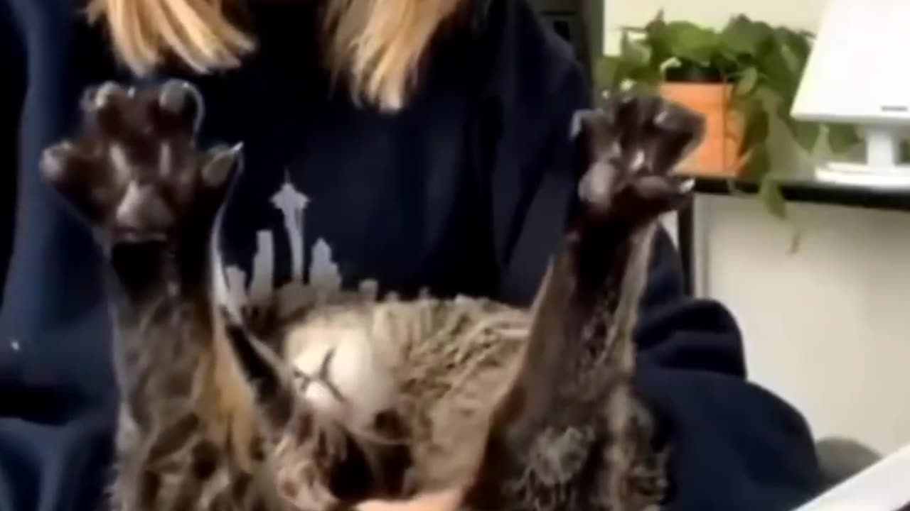 🎭 Must-Watch Pet Comedy! 🐾 Ultimate Animal Fails!
