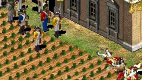 RPG AND RTS