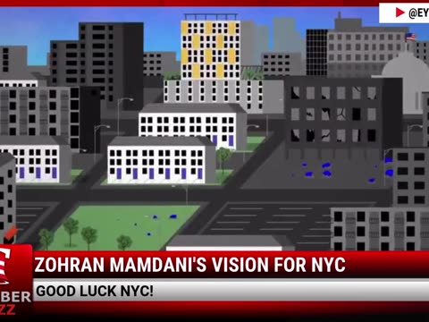Zohran Mamdani's Vision For NYC