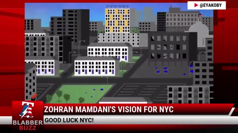 Zohran Mamdani's Vision For NYC