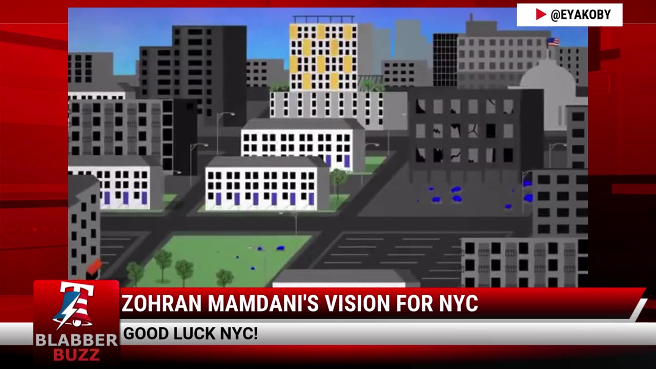Zohran Mamdani's Vision For NYC