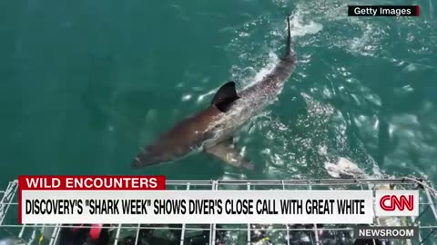 Trending: New heart-stopping footage of massive great white shark attack