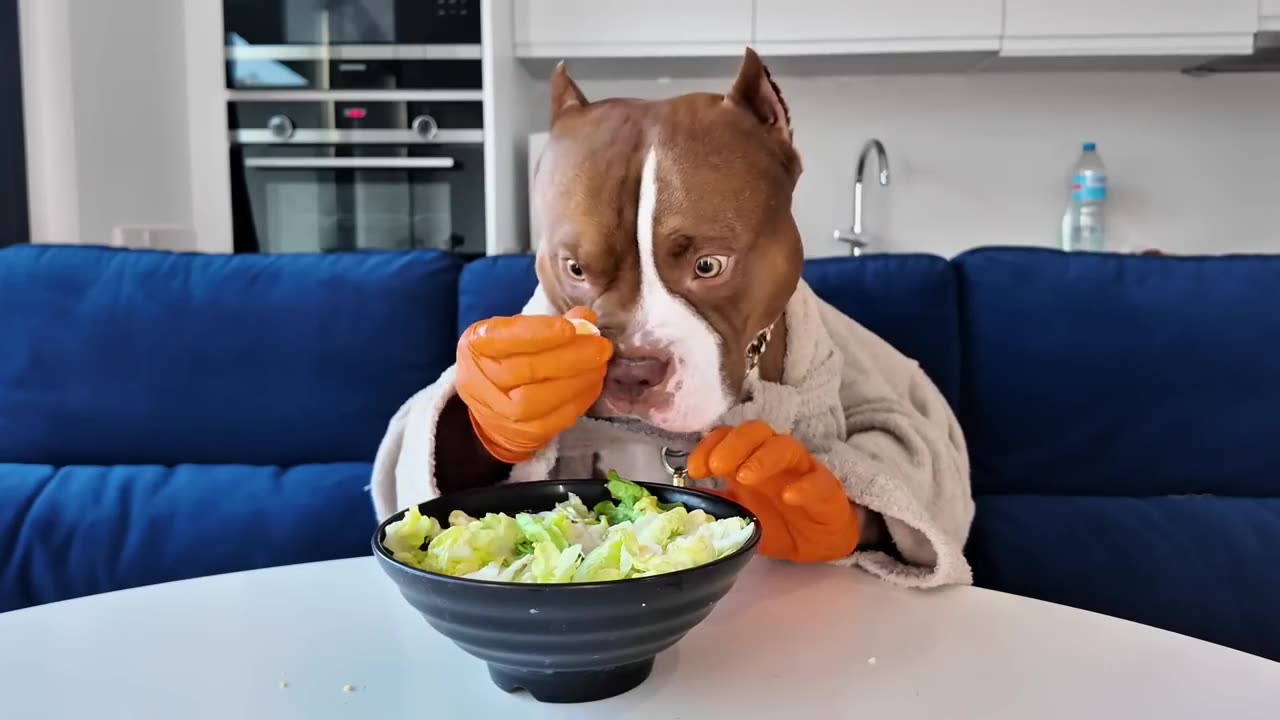 Snack after bath
