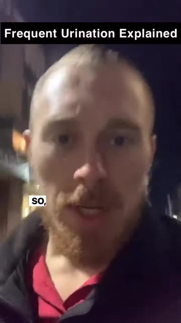 Why You Have To Pee All The Time