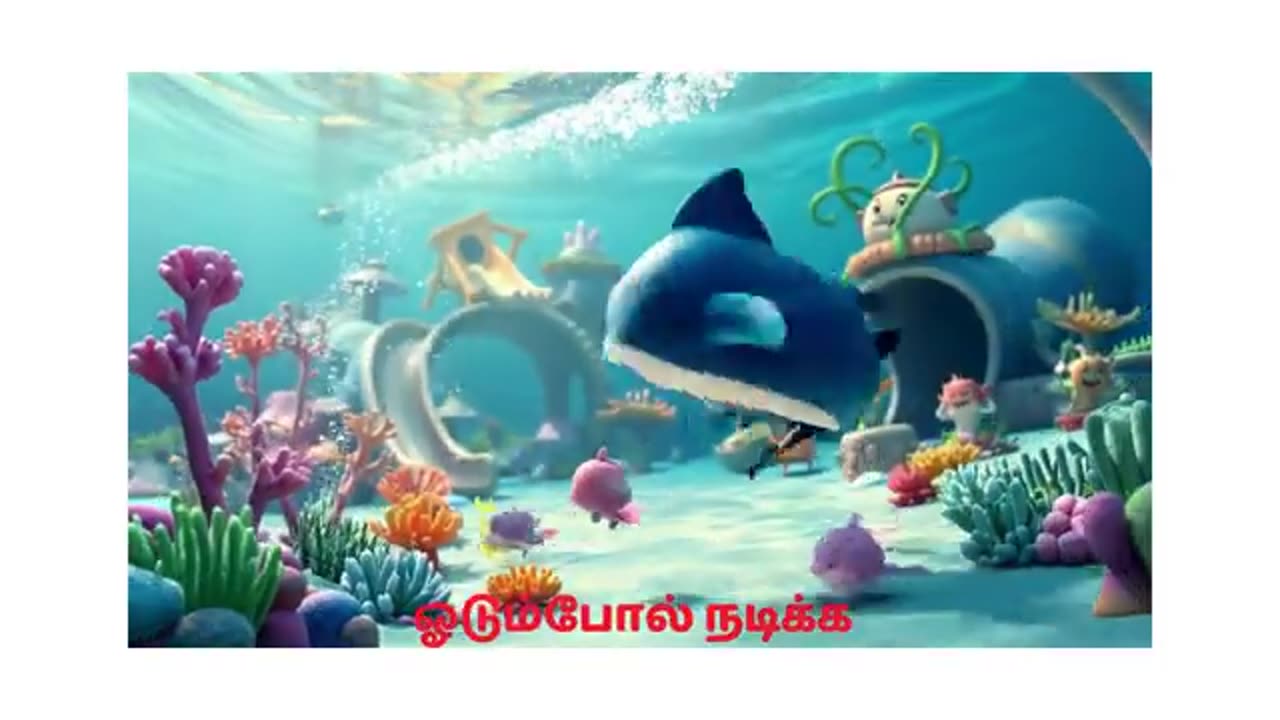 “ஷார்க் ஷார்க்” பாடலுக்கு ரெடியா? Are you ready for the ‘Shark Shark’ song, kids? #kids
