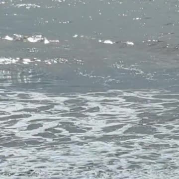 Relax on the Monterey Bay