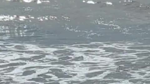 Relax on the Monterey Bay