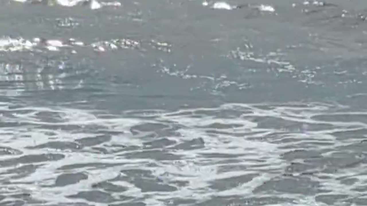 Relax on the Monterey Bay