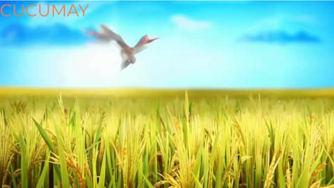 cucumay animation videos