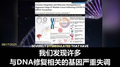 2025.09.17 mRNA COVID-19 vaccine disaster