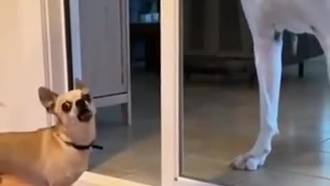 🤣 The Hilarious Way He Lowered His Tone Down is Relatable! | FunFM