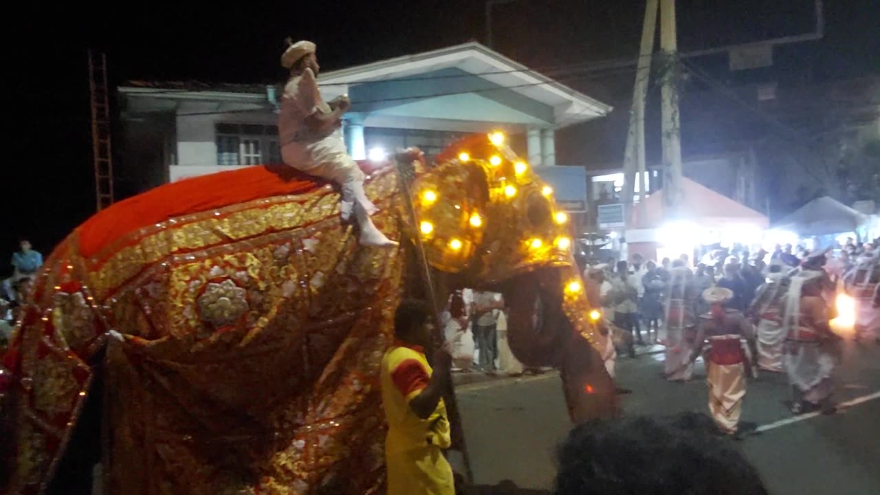 Sri lanka 🇱🇰 perahara video must watch