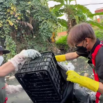 Protect the environment - protect the Earth (Part 3)