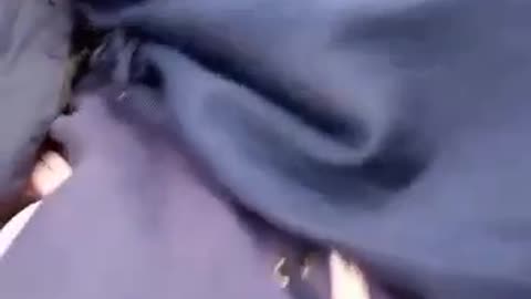 Sex video