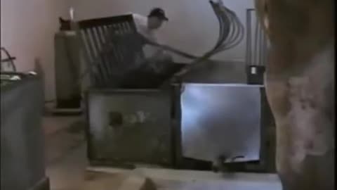 Earthlings - Viewer discretion is advised