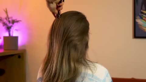 10. Crunchy & Soft Hair Brushing ASMR