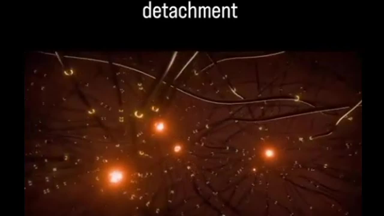 Stay in a state of receiving and get your needs covered