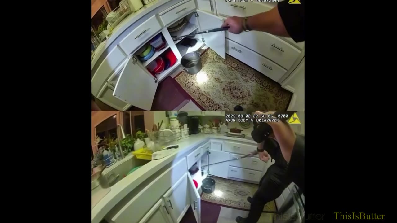 Walnut Creek police officers remove rattlesnake from kitchen