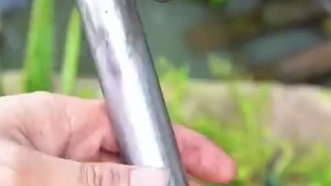 Skill Creatif