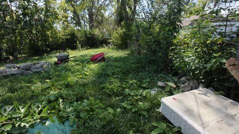 lets see how evicted tenant left this house. THE SHEA SHOW