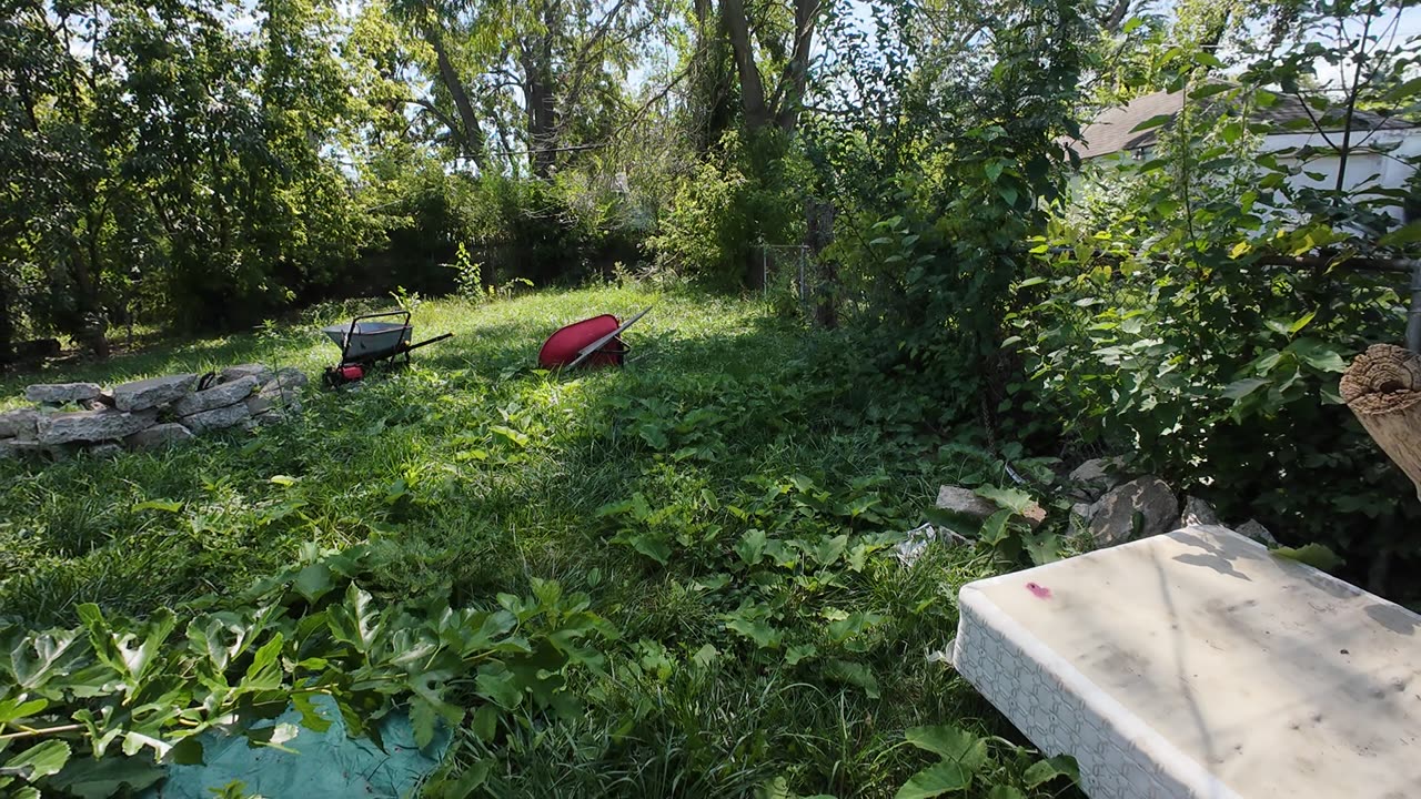 lets see how evicted tenant left this house. THE SHEA SHOW