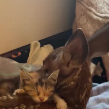 Comforting each other.. 😊