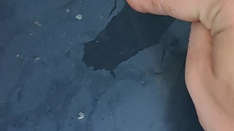 wybory wyborami ale energia chyba wzrasta