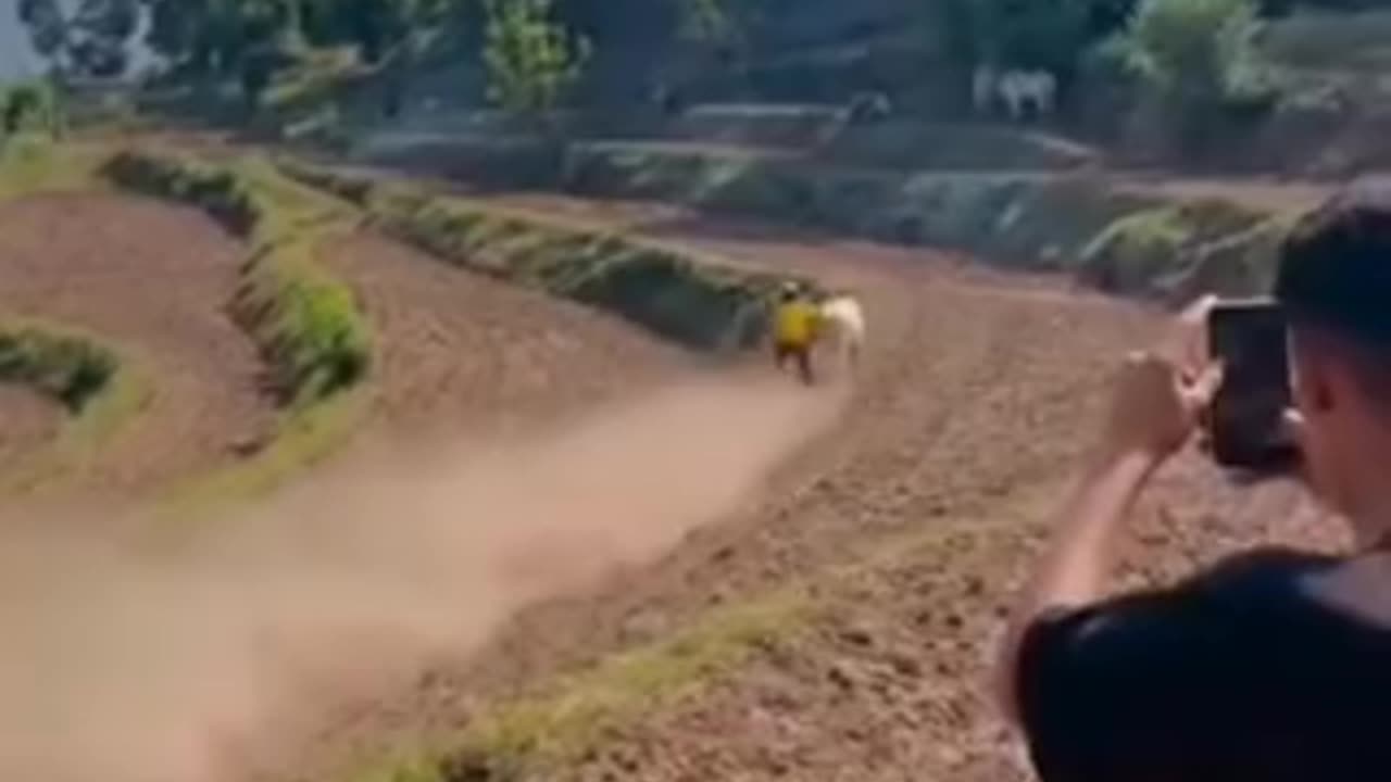 Village farmers working like metro 🚇😂