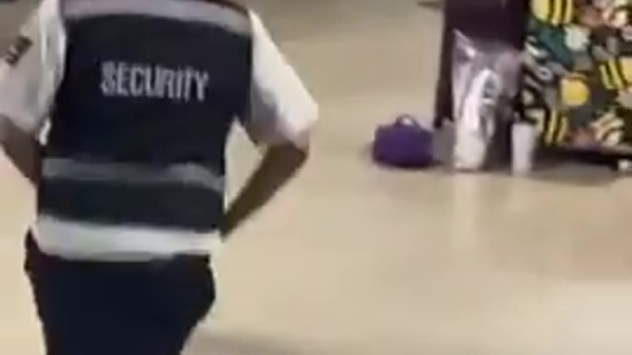When Large Numbers of Them Congregate at Airports Bedlam Is around the Corner (No sound).